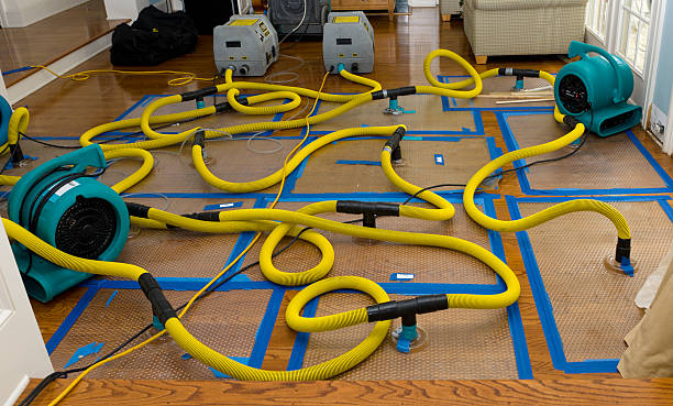 Professional Sewage Cleanup technician working in New Jersey, NJ